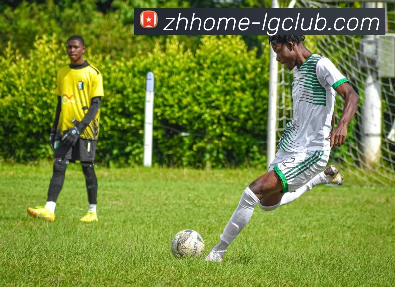 老哥俱乐部官网发展历程